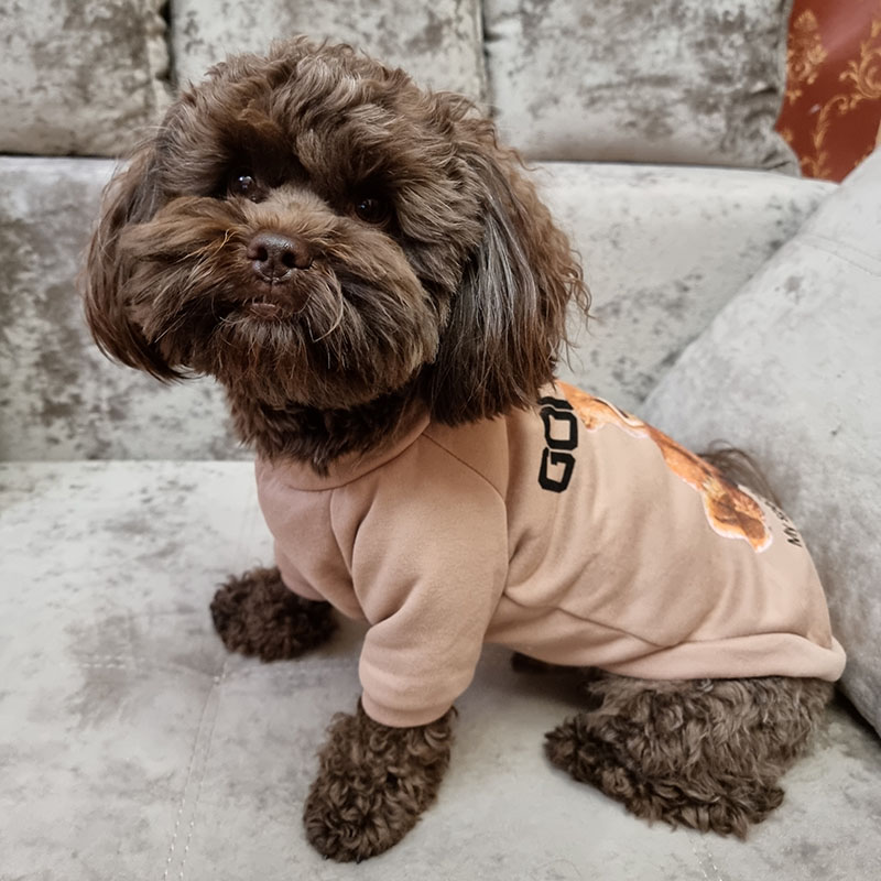 Hundekleidung für kleine und mittelgroße Hunde, niedliches Bärenmuster, Haustier-Katzenweste, Pudel, Yorkshire, Chihuahua, Schnauzer, Kleidung für kleine Hunde