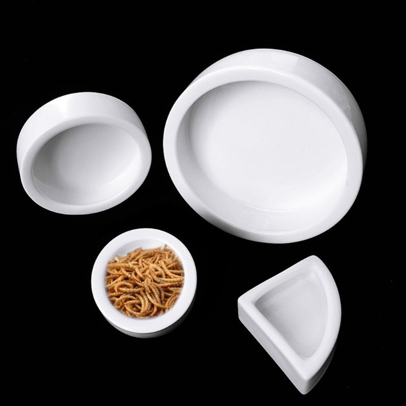 AQUA KT Reptile Feeder Bowl - 2-in-1 Anti Escape Mealworm Dish & Water Dispenser