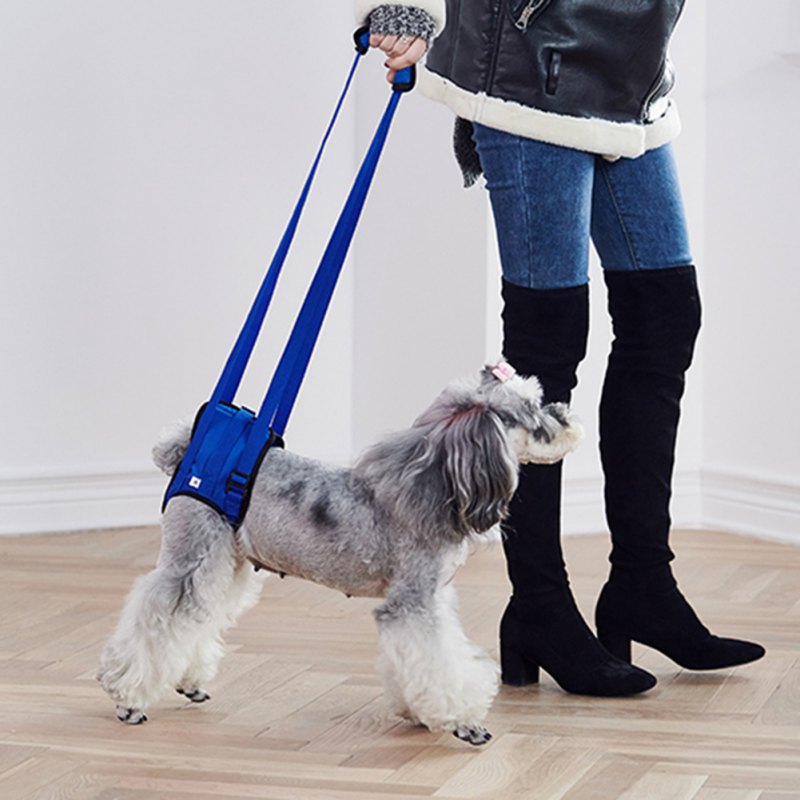Hundeløftesele til bagben justerbar kæledyrsstøtte slynge hjælp svage ben oprejst hunde snorhjælp hjælpeværktøj