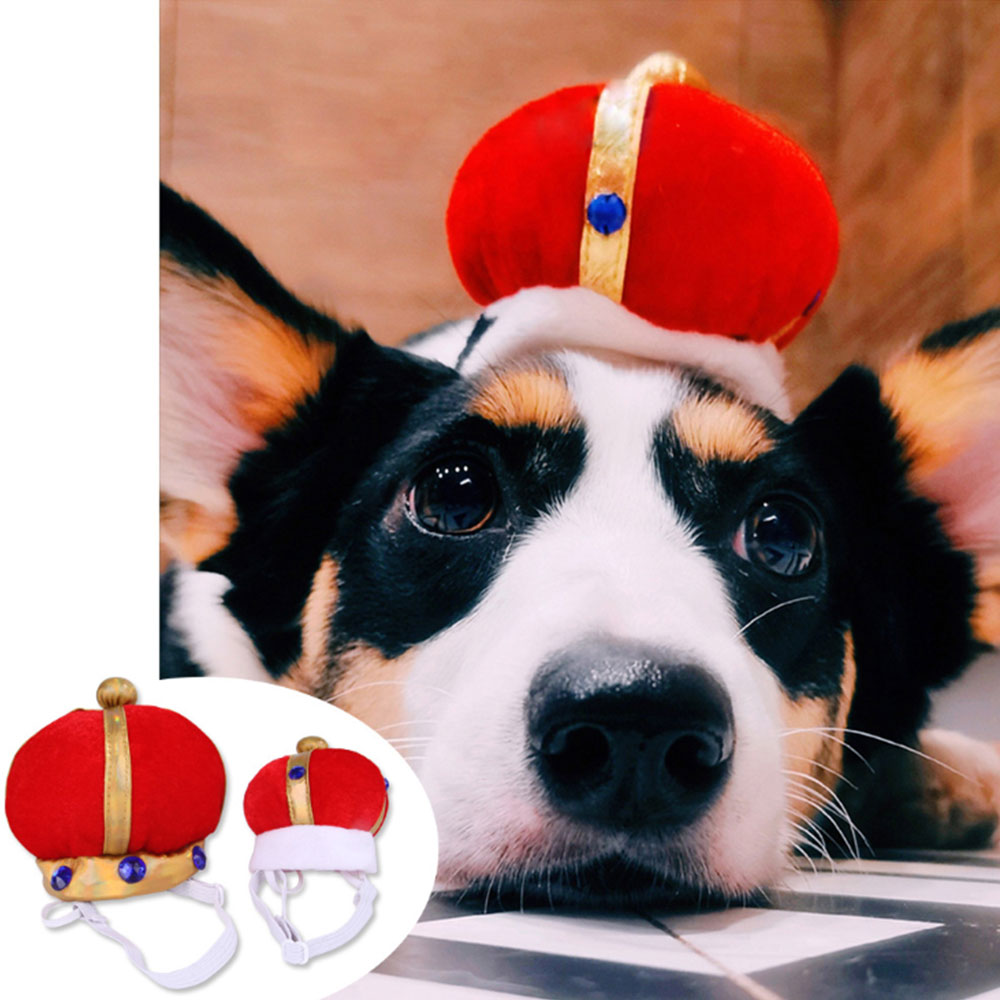 Couvre-chef de chat pour animaux de compagnie petit roi reine chapeau intéressant chiot couronne chapeau de déguisement nouvel an fête Cosplay accessoires