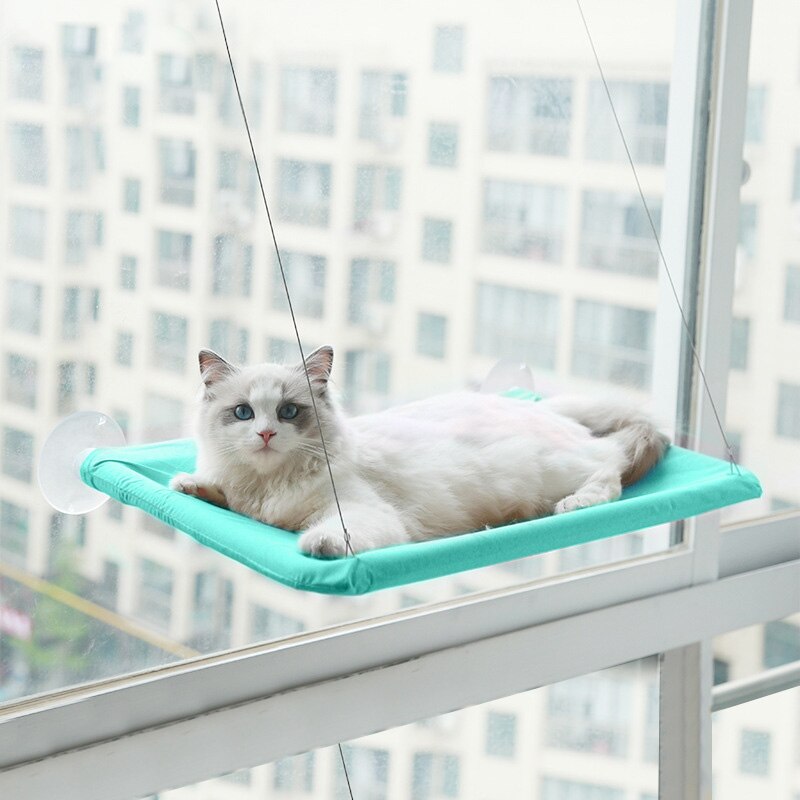 Kat solrigt sæde søde kæledyr hængende senge med 20kg vinduesmonterede kattekat hængekøje komfortable katte kæledyrs seng hylde sæde senge: Grøn