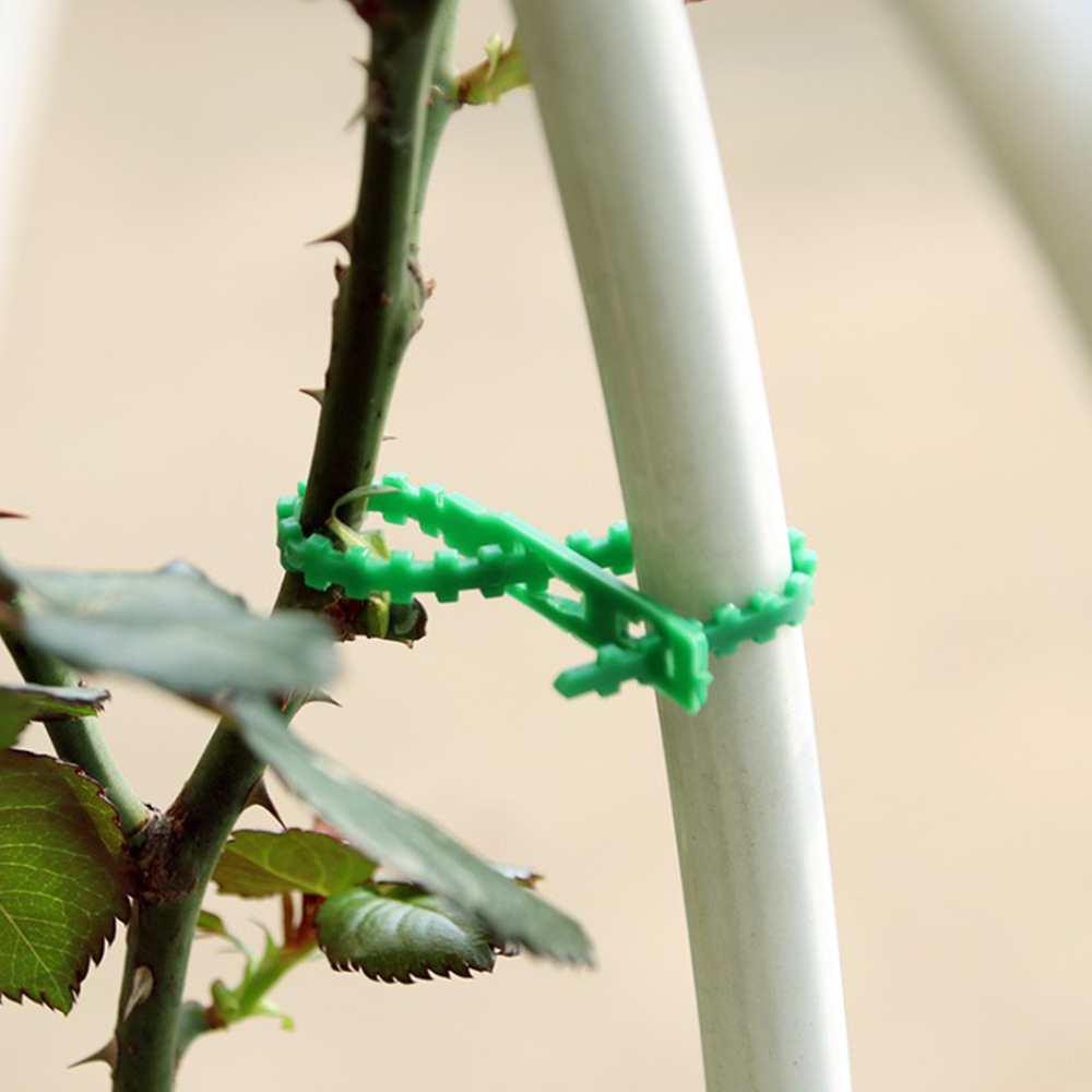 50Pcs 13/17cm Adjustable Reusable Garden Cable Ties Plant Support Shrubs Tree Locking Nylon Plastic Ties