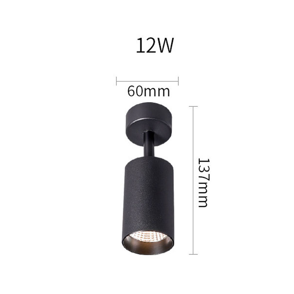 LED Downlights 220V Ceiling Spotlight Led Track Light Spot Lights Surface Mounted Lamp Kitchen Indoor Lighting: BK-12W / 3000K