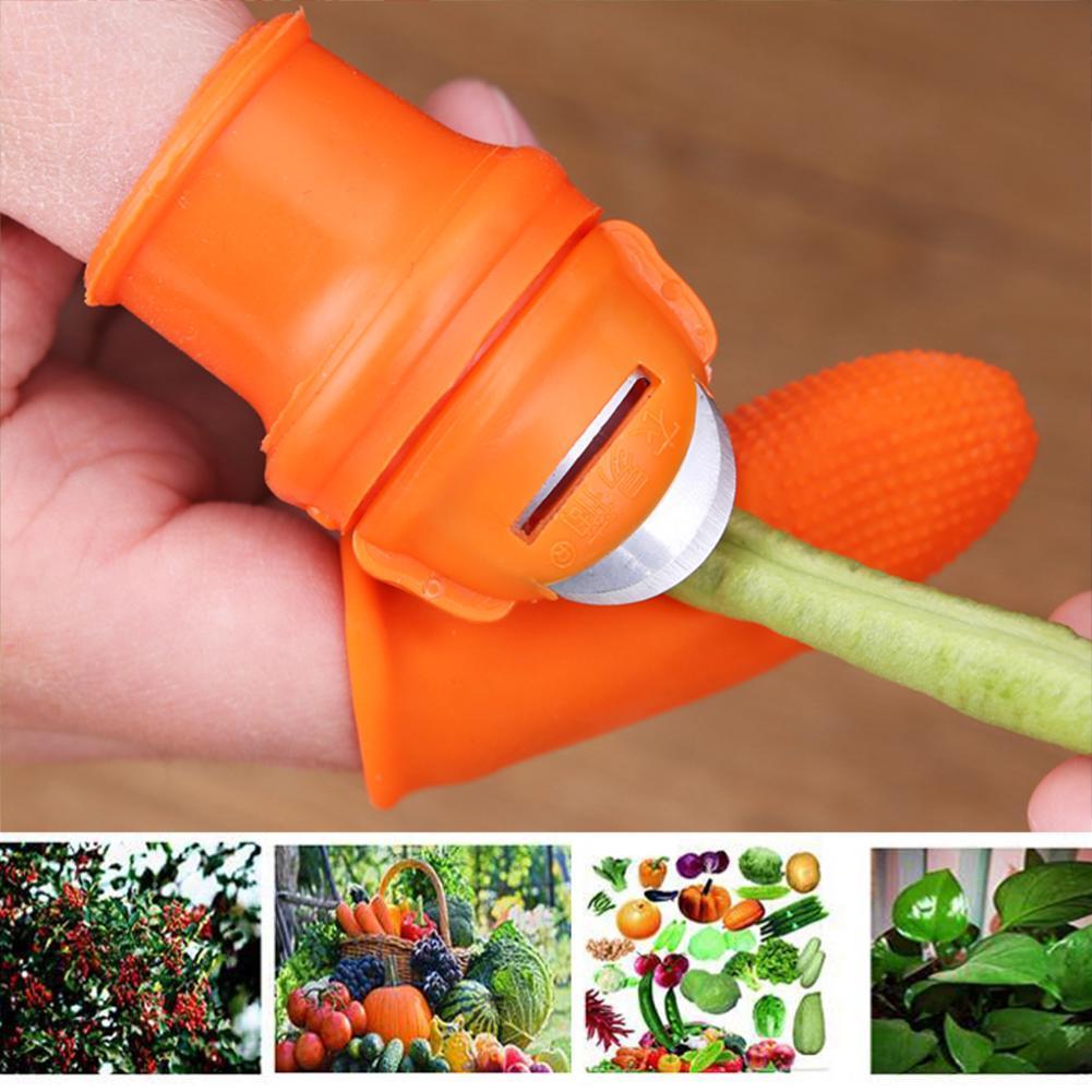 Farm Vegetable Fruit Picker Pickle Pepper Pickle Tip Picker Iron Nail Tool Picker Pick Grape For Garden N3A9
