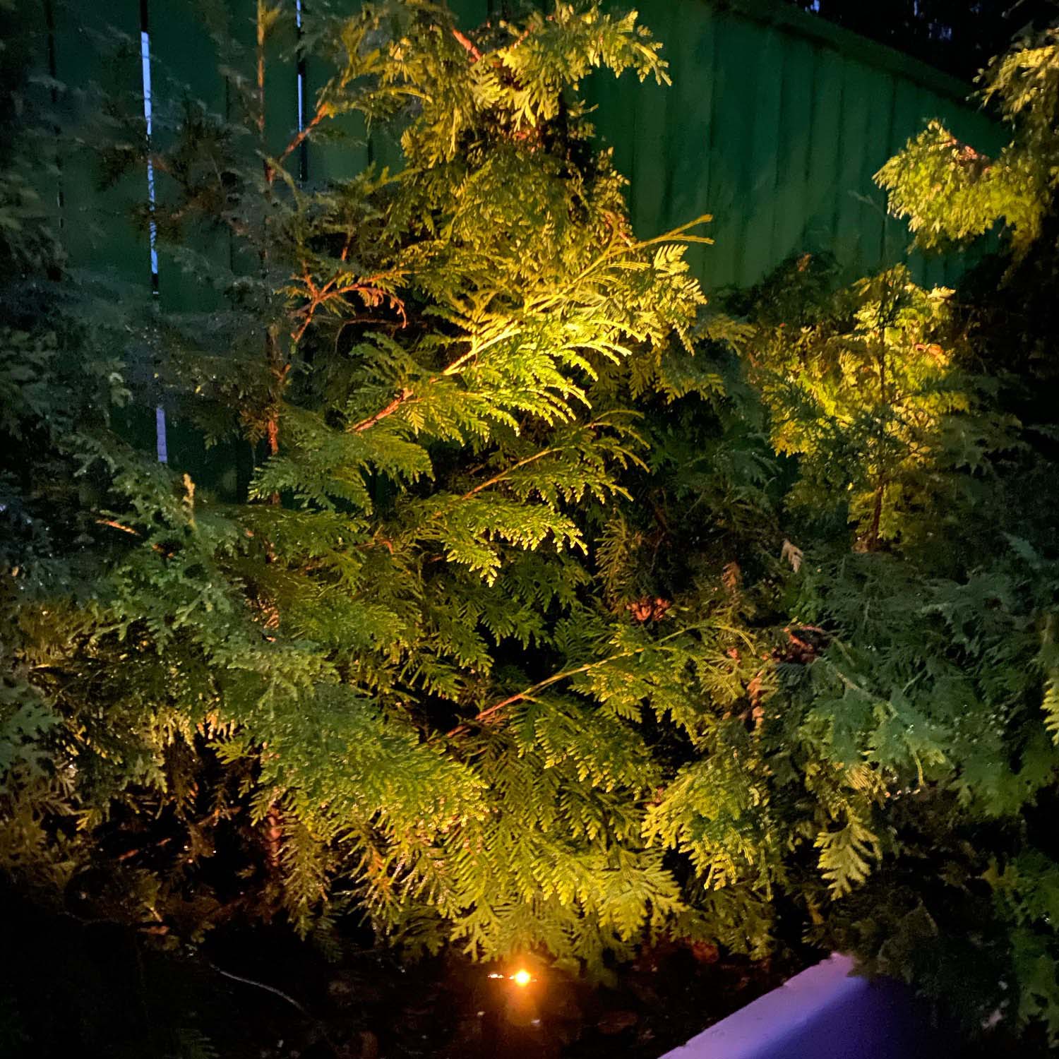 Luz LED Solar de T-SUNRISE para exteriores, iluminación alimentada por IP65, resistente al agua, lámparas de césped de jardín, focos RGB, blanco cálido/frío