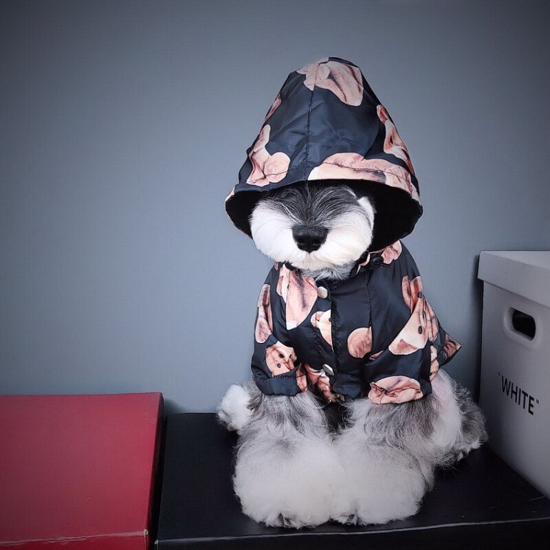 Abrigo impermeable para perros y gatos, gabardina para perros, Bulldog Francés, osito Schnauzer a prueba de viento y resistente a la lluvia, tendencia de