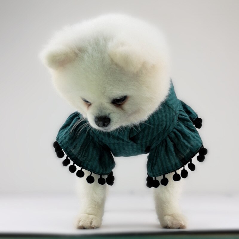 Mexicansk kappe chihuahua sommer cool t-shirt hundetøj til små hunde yorkshire hvalp mops åndbart kostume xs-xxl