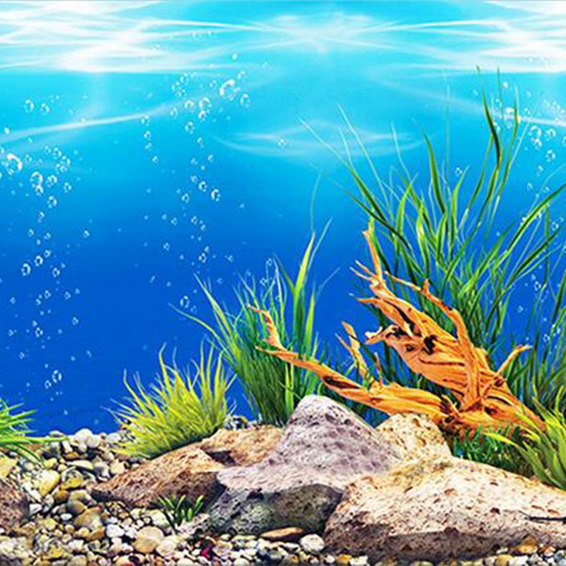 NHBR Aquarium hintergrund papier HD bild 7d drei-dimensional fisch Panzer tapete hintergrund malerei doppelseitig Aquarium
