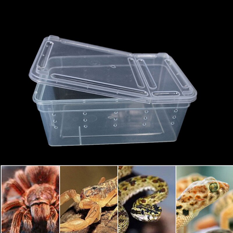 1Pc S/M/L Transparant Reptielen Doos Met Voerbak Plastic Insect Huisdier Terrarium Vervoer Fokken Voedsel feed Doos Dierbenodigdheden