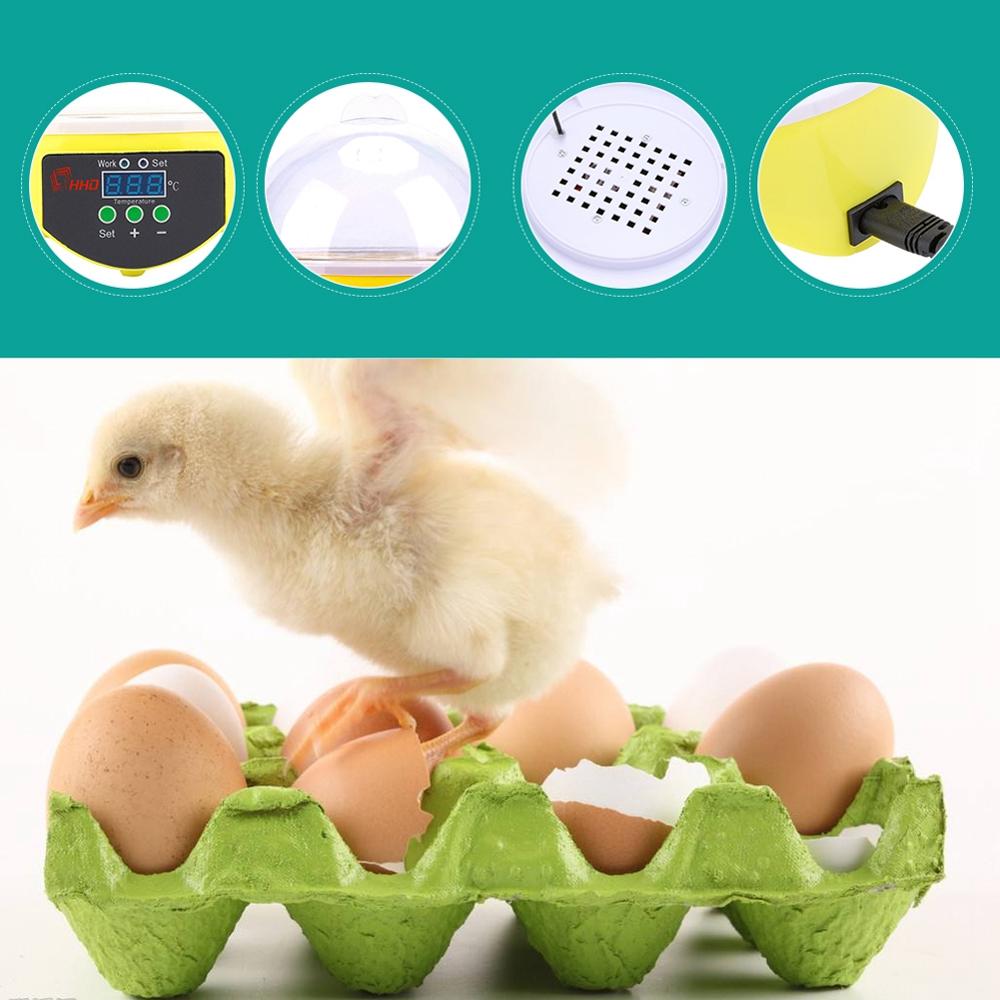 Incubadora Manual Digital transparente, 7 huevos, Incubadora de aves de corral, pollo, pato, herramientas