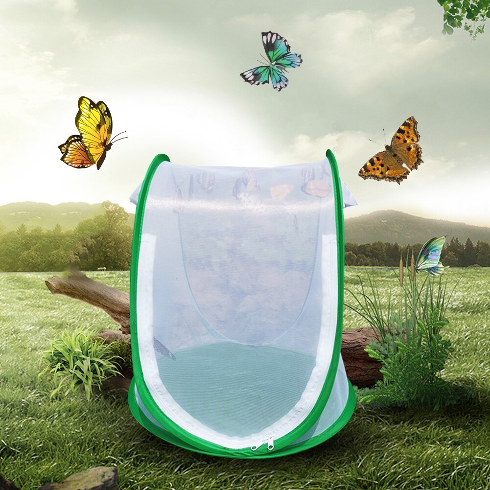 Insecten En Vlinder Habitat Netto Draagbare Opvouwbare Terrarium Pop Up Mesh Kooi Kids Net 652575466
