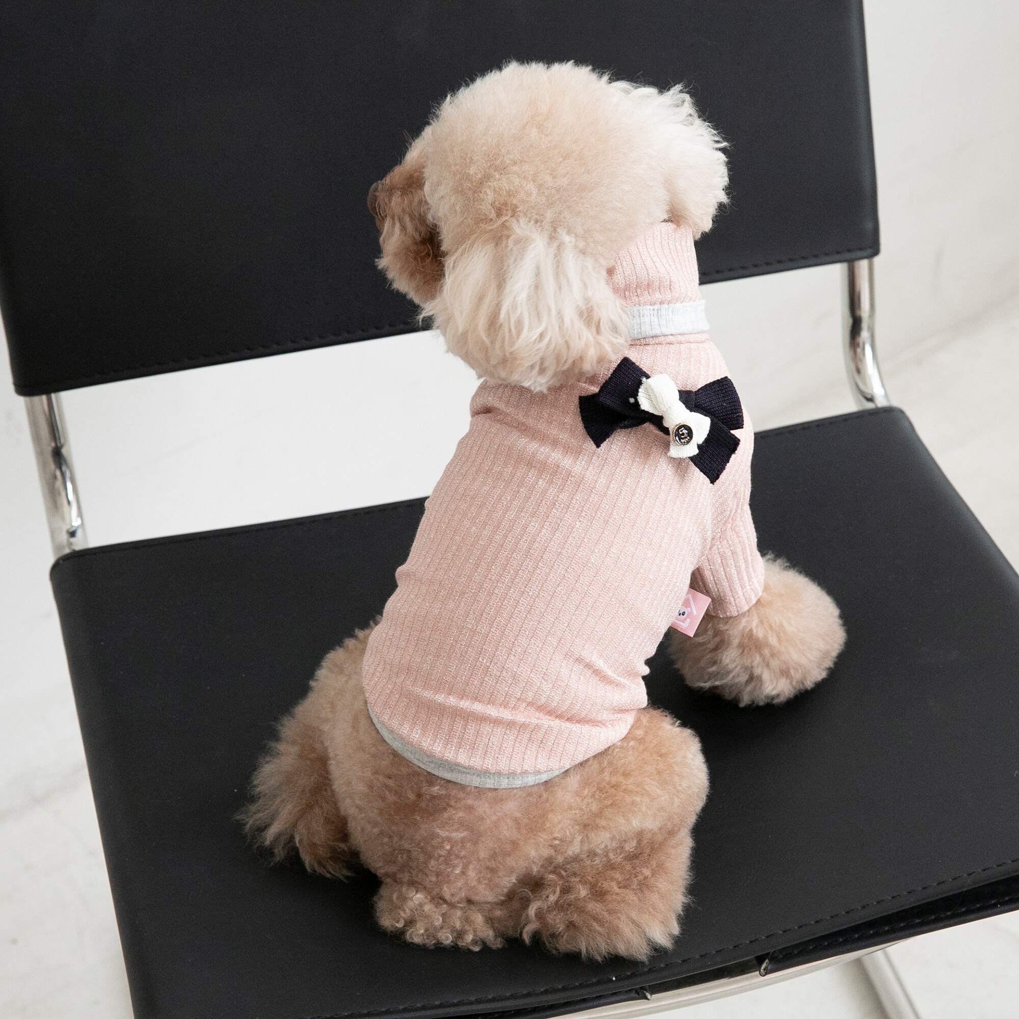 Vêtements chauds pour animaux de compagnie, en velours argenté, à col haut, pour chat et chien, veste Bichon Teddy, automne et hiver