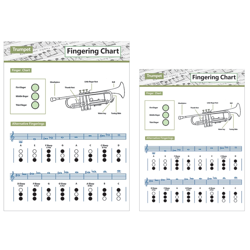 -Trumpet Practice Chart Chord Trumpet Fingering Chart Trumpet Fingering Chart Music Chords Poster