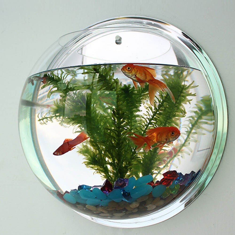Pethy fisketank væghængende akvarium rund akryl pot plante vægmonteret skål akvarium boligindretning akvatiske kæledyrsforsyninger: 29.5cm