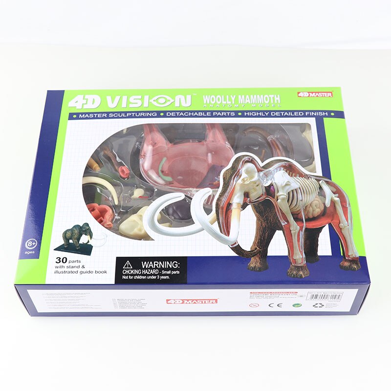 Simulatie dier pop 4d meester puzzel assemblage speelgoed wezen gevogelte kat hond paard varken haai walvis orgaan anatomie