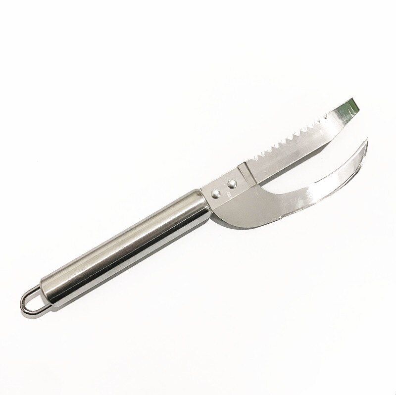 Grattoir à écailles de poisson en acier inoxydable, outils de nettoyage, dissolvant de brosse de peau de poisson, outils de cuisine: 2