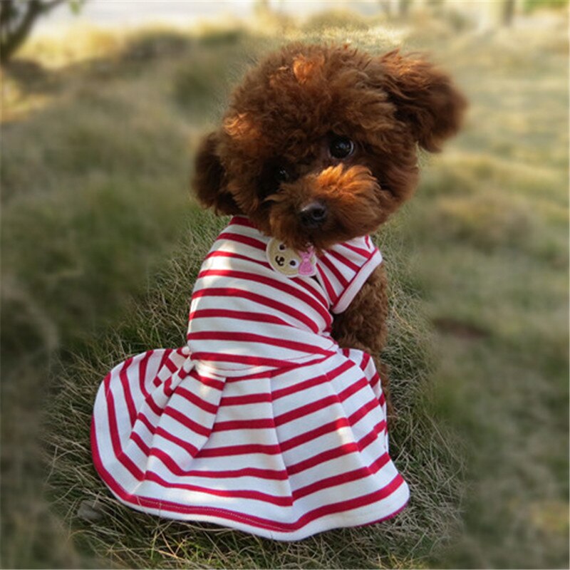 Small Dogs Dresses Stripe Wedding Princess Skirt Clothing For Pets Party Dress Tutu Cats Dogs Clothes Cute cappotto cane