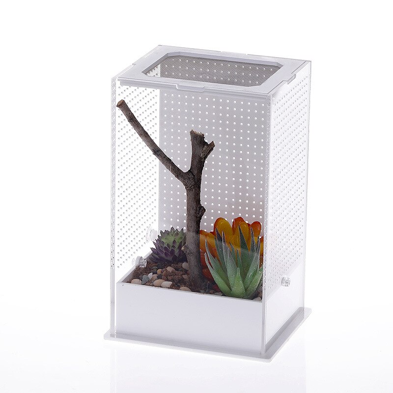 1PCS Pet Products Entomological Raising Box Insect Feeding Box and Landscape Villa Insect Box Insect Supplies