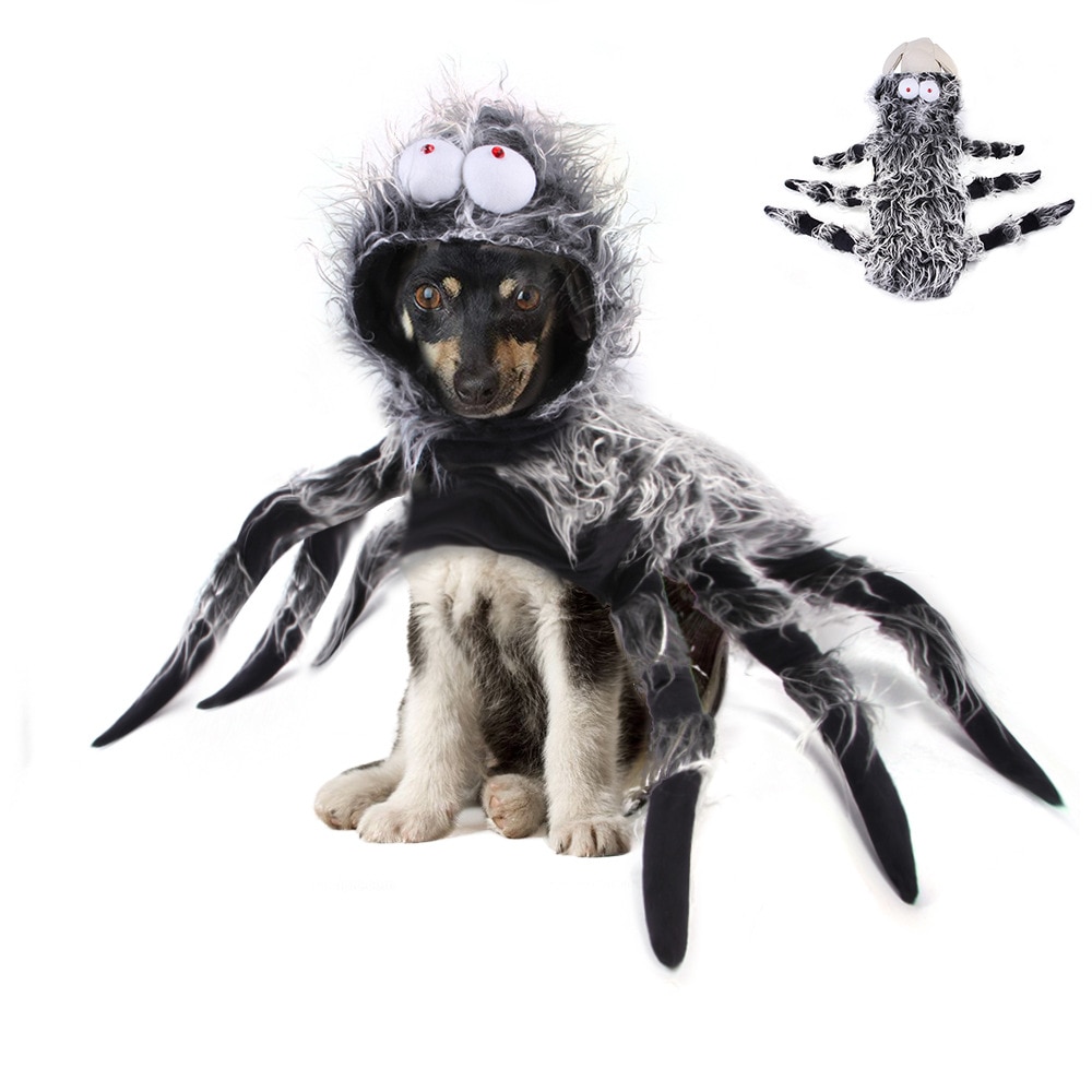 Costume d&#39;araignée amusant pour chien, déguisement, accessoires pour petits/moyens/grands chiens, vêtements