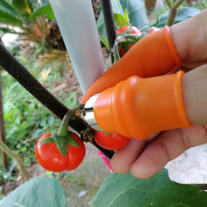 Farm Vegetable Fruit Picker Pickle Pepper Pickle Tip Picker Iron Nail Pick Grape Picker For Garden Kitchen Tools jardinage