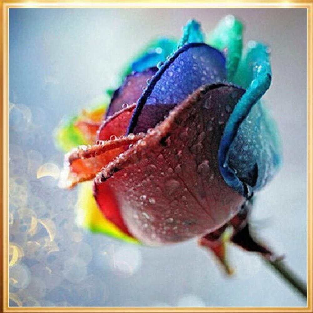 5D DIY Diamond Painting Colorful Rose Embroidery Paint Cross Stitch Craft