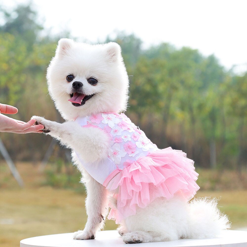 Lace Chiffon Dress for Small Dog Cat Lovely Floral Dress Pet Party Birthday Costume Dog Wedding Dress Cute Dog Clothes in Summer