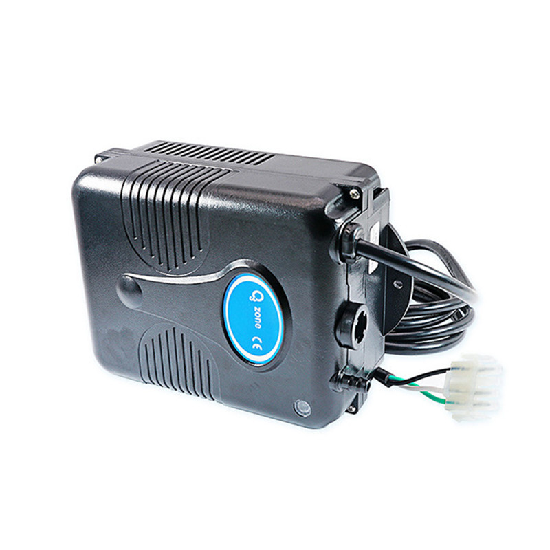 220V 300 Mg/u Ozon Generator Bad Douche Spa Zwembad Ozonizer Bad Zwembad Waterzuiveraar