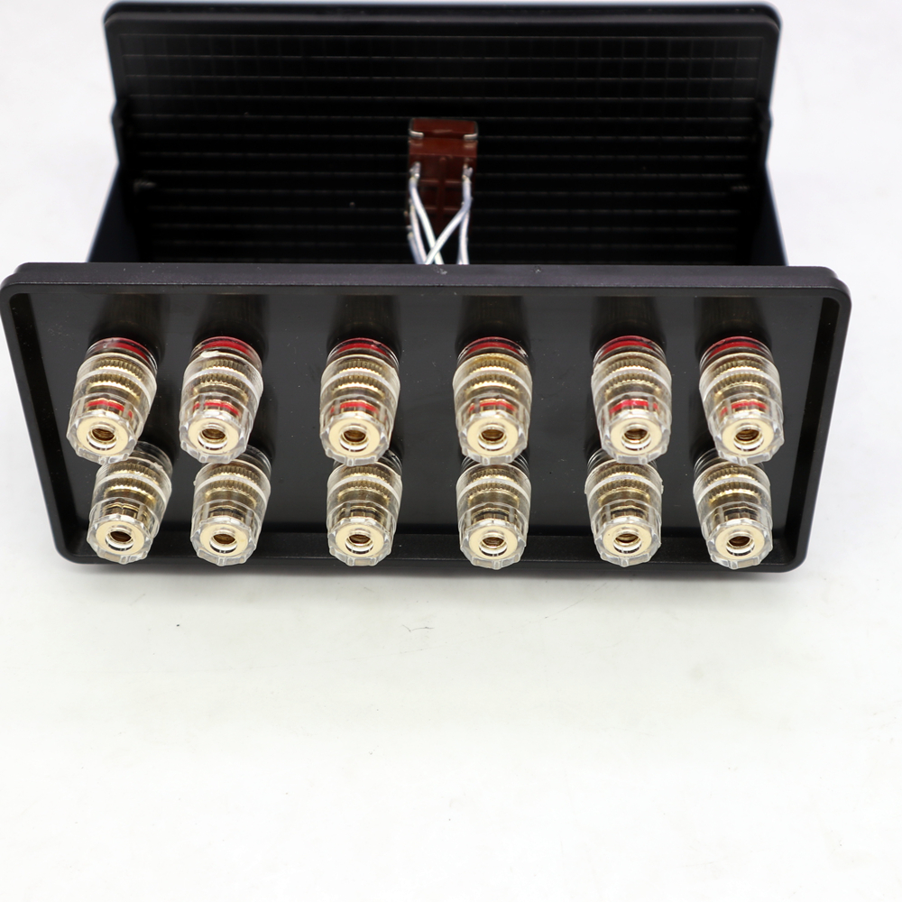 XLR22 Audio Versterker 2 Ingang 1 Uitgang/1 In 2 Out 2 Audio Switcher Versterker Luidspreker Schakelaar Converter Out selector