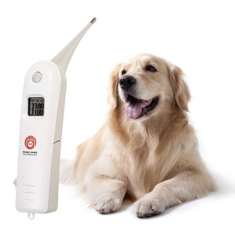 Dier Elektronische Thermometer Pet Digitale Thermometer Snelle Rectale Thermometer Voor Honden Varken Paard Body Temperatuur Meten
