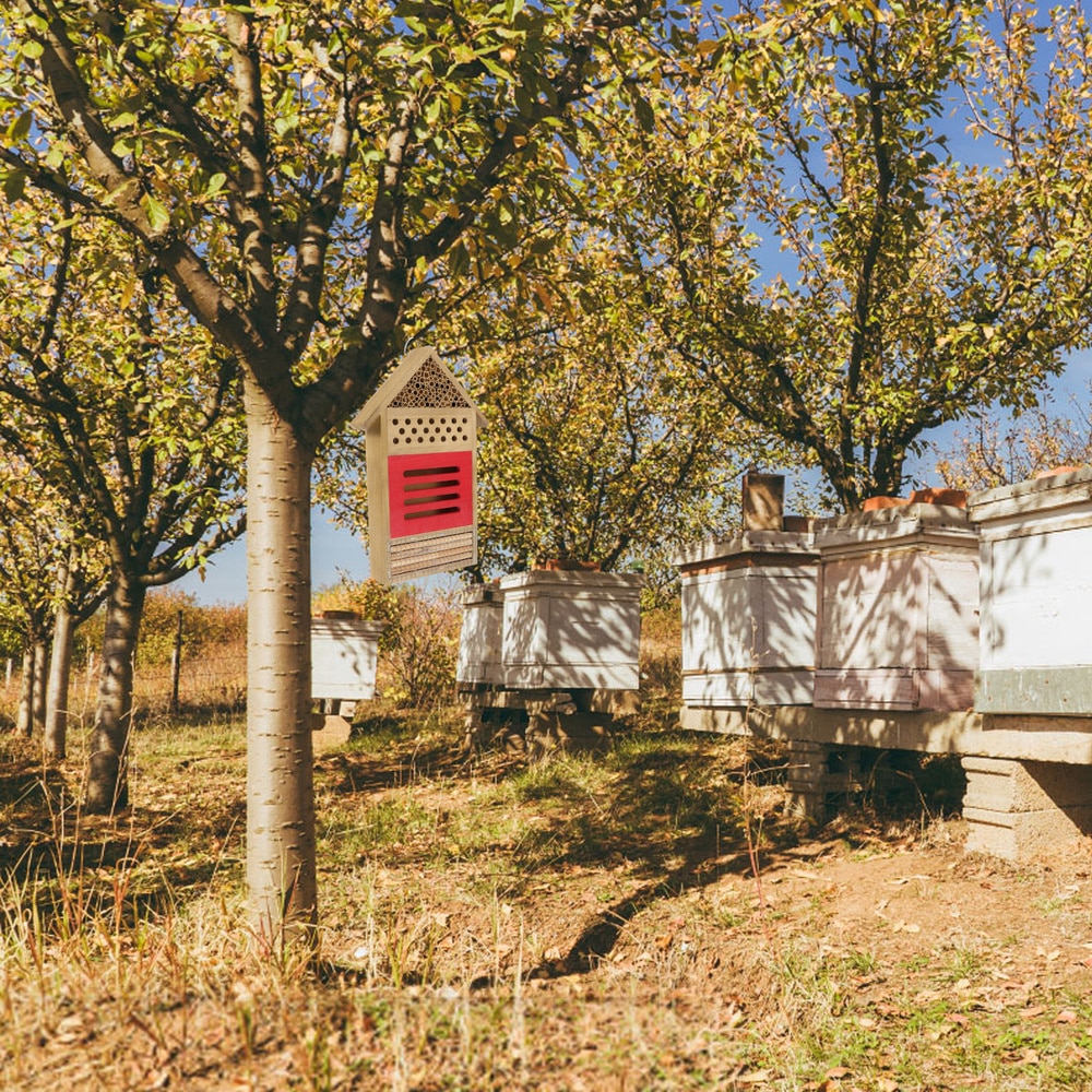Bee House Hotel for Solitary Bee Outdoor Hanging Wooden Bee House Garden
