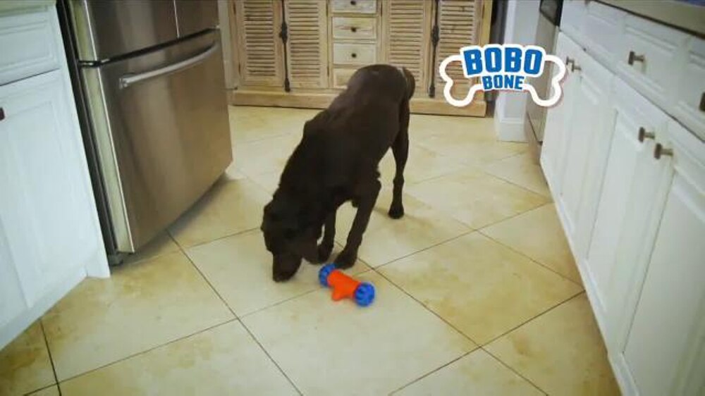 Bobo Bone Electric Dog Toy Smart Bone, Automatic & Interactive Toys for Dogs, Puppy and Cats, App Control, Safe & Durable