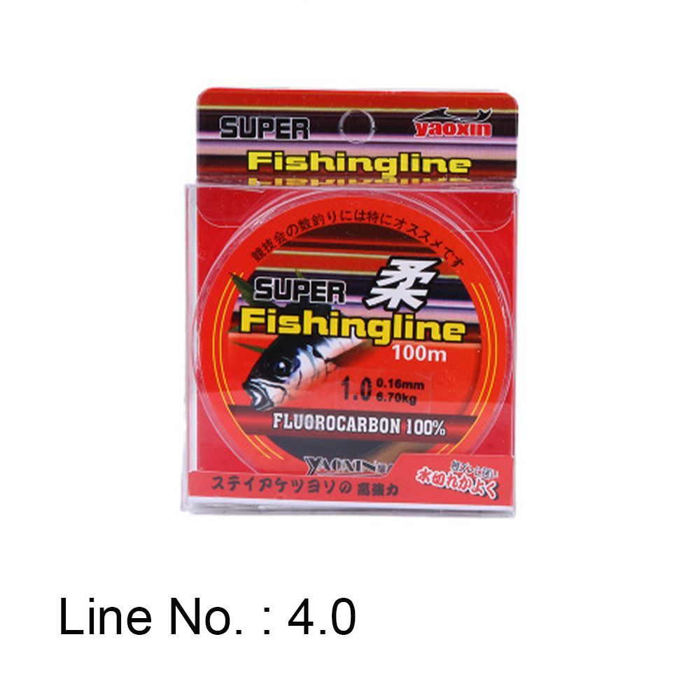 100M Super Strong Fishing Line 100% Fluorocarbon Monofilament Nylon PA Tackle Wire Durable Fishing Line 0.8-6LB: light green