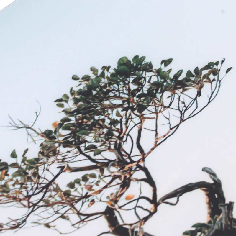 Aquarium Background Poster Vibrant Self Adhesive Fish Tank Wallpaper for Tank