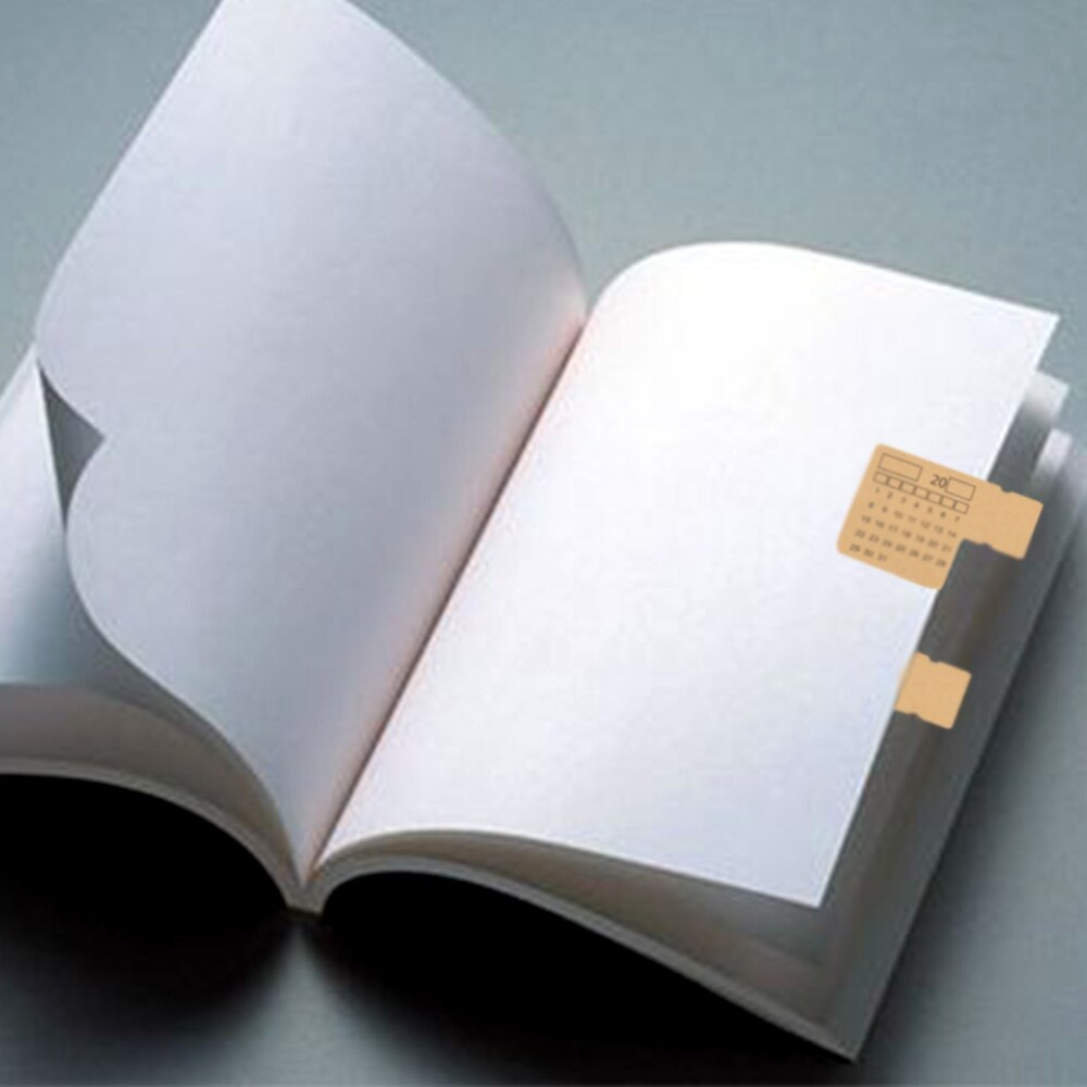 2 Sheets General Kraft Paper Handwritten Almanac Calendar Index Sticker Calendar Sticker Note Stickers
