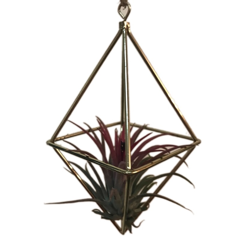 Hängen Tillandsia Luft Pflanzen Gestell Metall Geometrische Eisen Kunst Rustikalen Blume Pflanzer Topf Pflanzen Gestell
