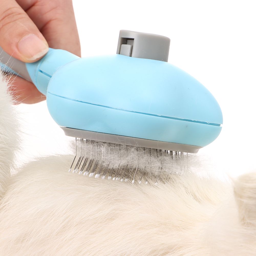 1Pc Kat Kam Hond Kam Huisdier Haar Kam Hond Haar Speciale Naald Kam Kat Haar Cleaning En beauty Producten