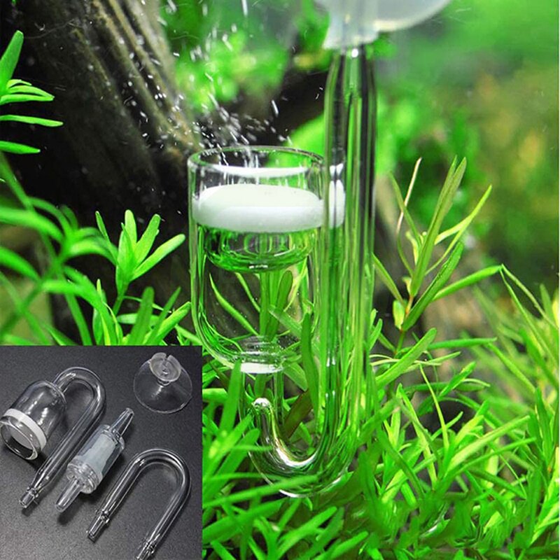 Aquarium CO2 Glas Diffuser Met Terugslagklep Ronde Platte Bodem Combinatie Kit CO2 Verstuiver Voor Plant Fish Tank
