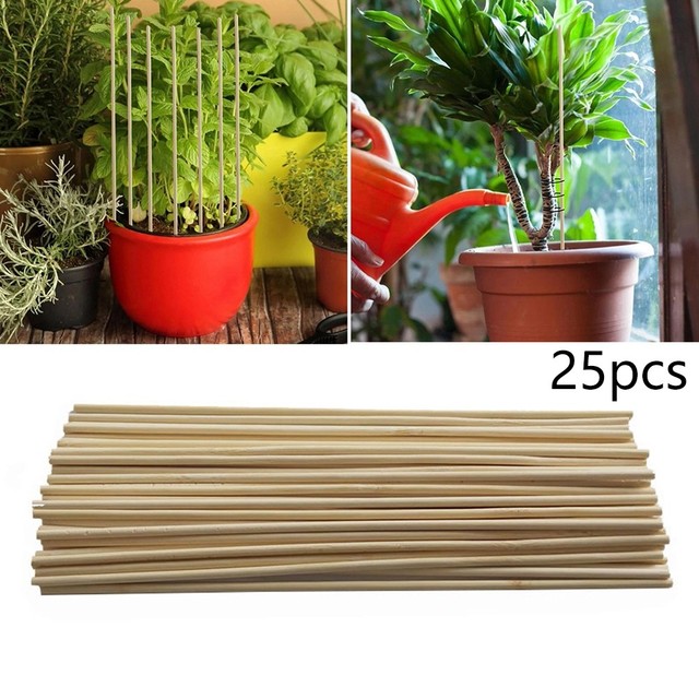 Bastones de bambú para plantas, Estaca de bambú para flores, palos de repuesto profesionales, Clips para plantas, arreglo de flores, suministros de jardín: C-25pcs-20cm