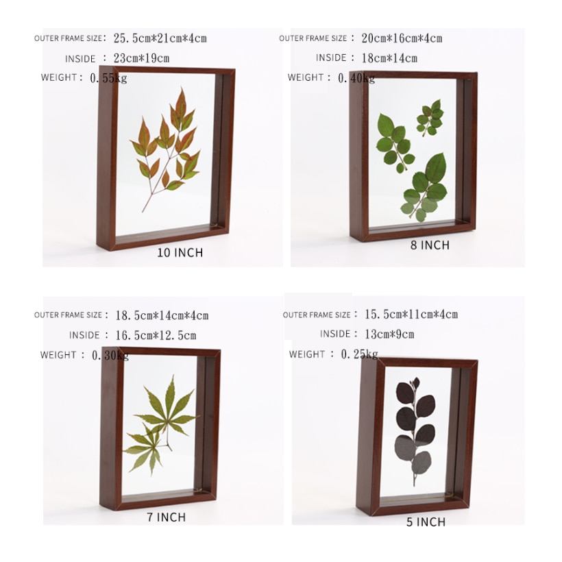 SUFEILE Plant specimen Picture frame 6 inch solid wood decorative frame DIY wood High-definition glass frame D50