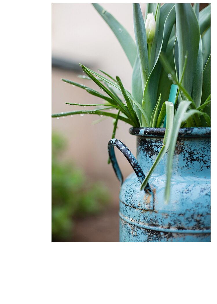 rustic blue metal milk can flower arrangements