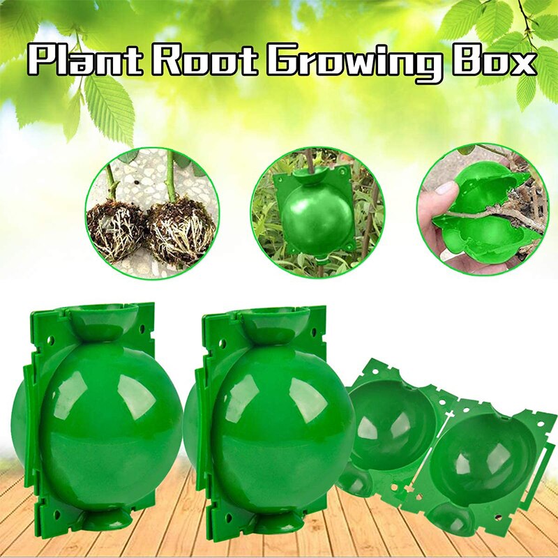 5/8CM Plant Rooting Ball Grafting Root Box 10/20Pcs Root Visible High Pressure Ball Breeding Growing Device For Garden Orchard