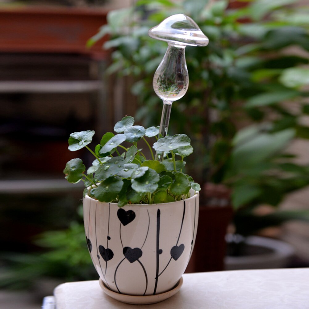 5 Color Plant Flowers Water Feeder Mushroom Shape Plant Self Watering Device Glass Clear Glass Plant Waterer Device