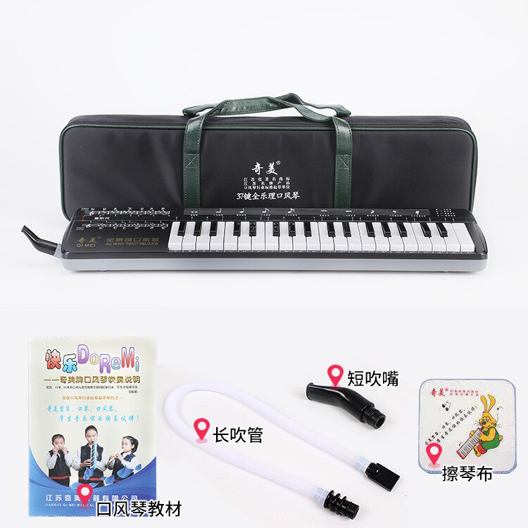 Organo a bocca durevole 32/37 tasti per pianoforte Melodica con borsa per il trasporto strumento musicale per gli amanti della musica regalo per principianti squisito: 37 Full music theory