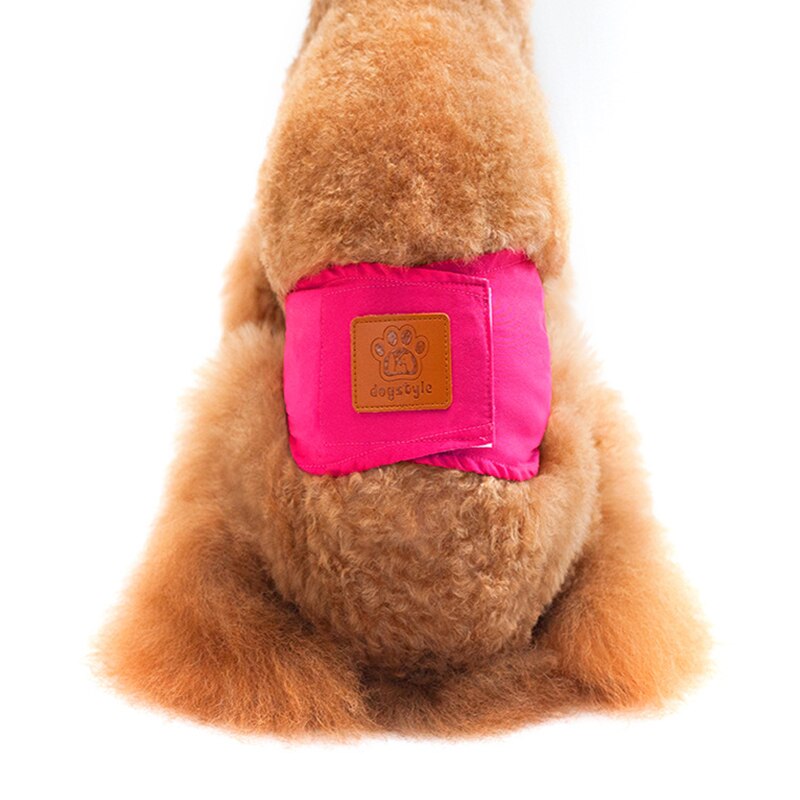 Couche réutilisable pour chien, sous-vêtement en coton, accessoire hygiénique pour animal de compagnie: Rouge / XL