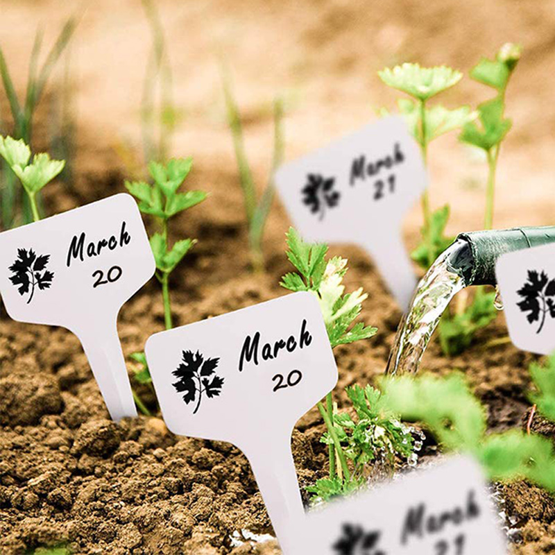 Mini juego de herramientas de jardinería, tablero de etiquetas, plantas de jardín de plástico, cultivo de plantas en macetas suculentas para el hogar, perforación, siembra, TMZ
