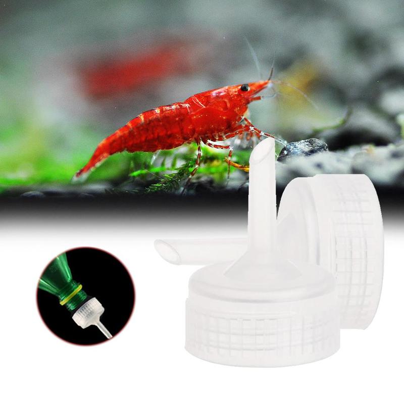 BBS HATCHERY / BABY BRINE SHRIMP HATCHERY