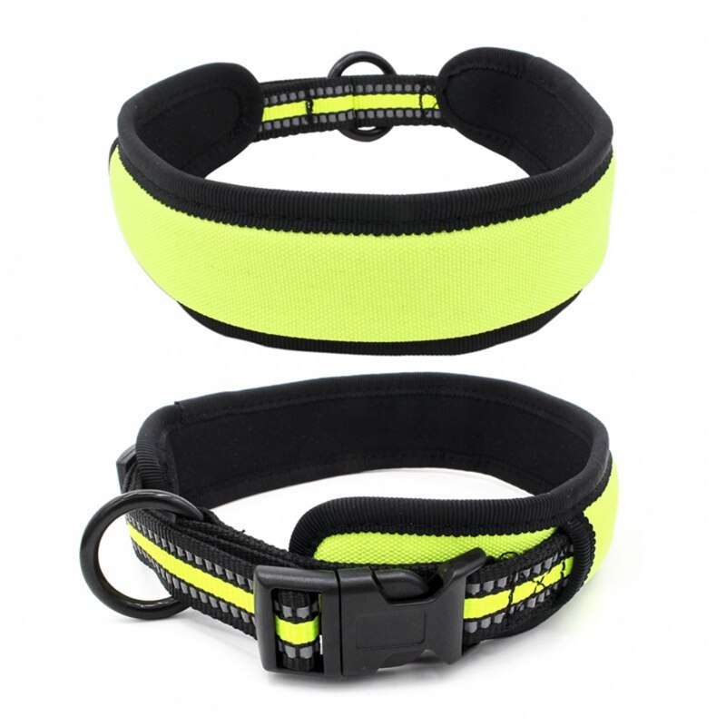 Huisdier Halsband LED Light Night Veiligheid Dierbenodigdheden Insert Gesp Honden Reflecterende Lint Kraag Puppy Ketting