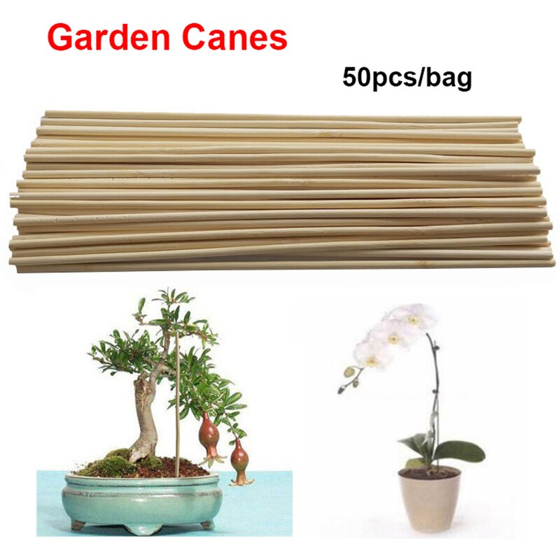 50pcs Wooden Plant Grow Support Bamboo Plant Sticks for Flower Stick Cane Stand