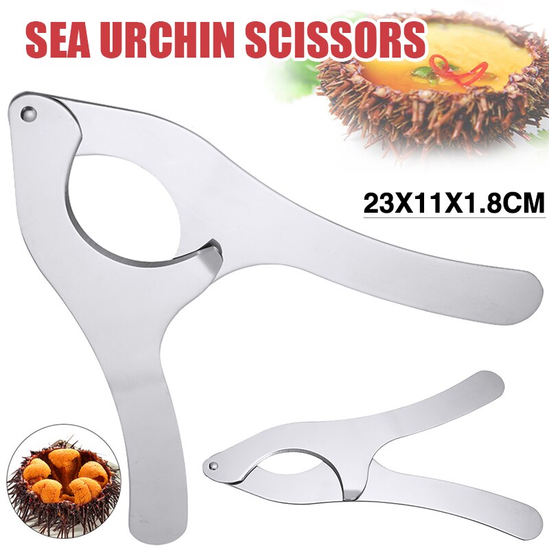Tijeras para abrir erizos de mar, pinzas de Echinus, cortador abierto de castaño, abridor de mariscos , accesorios de cocina, novedad, 1 ud.