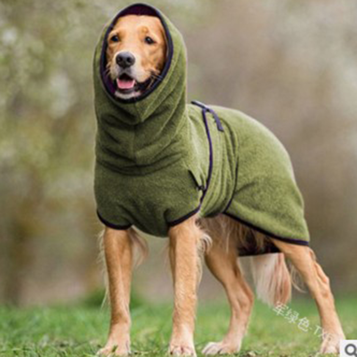 Generic Dog Winter Coat for Whippet, Greyhound Cosy Fleece Jumper, Jacket Lurcher and Clothe with Warm Lining, Adjustable Band M: M / green